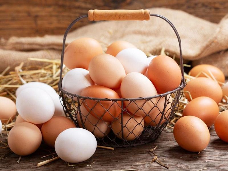 سعر كرتونة البيض اليوم الأحد في بورصة الدواجن