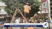 الإسماعيلية تواصل أعمال التطوير والتجميل استعدادًا للمهرجان الدولي للفنون الشعبية
