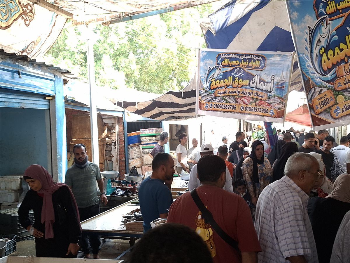 40 جنيها للكيلو، مبادرة لبيع الأسماك بأسعار مخفضة للمواطنين بالإسماعيلية (فيديو وصور)