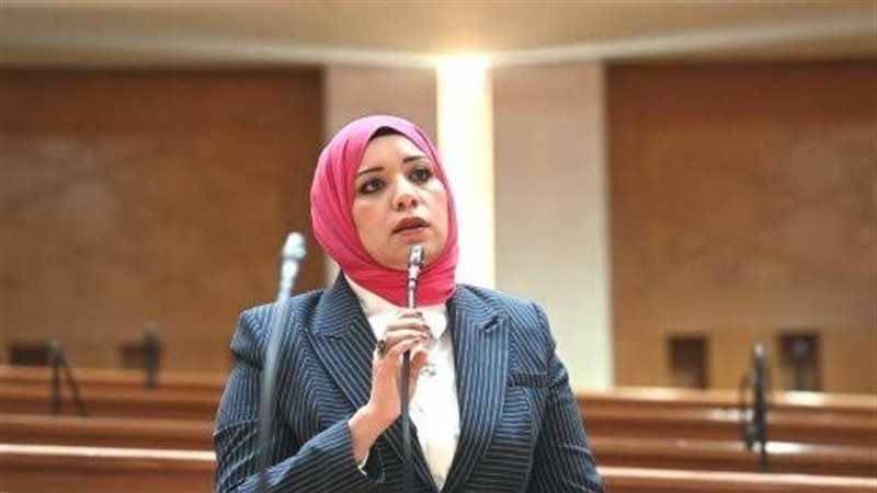رهام فاروق أحمد رئيسا للجنة الإعلام بمجلس النواب