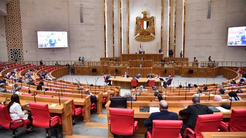 وكيلا مجلس النواب يتفقدان أعمال انتخابات هيئات مكاتب اللجان النوعية