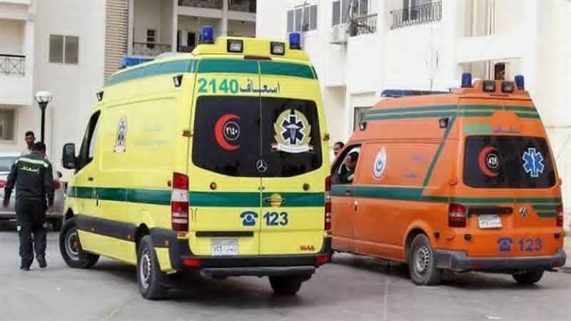 انقلاب سيارة ربع نقل أعلي محور ابوتشت في شمال قنا