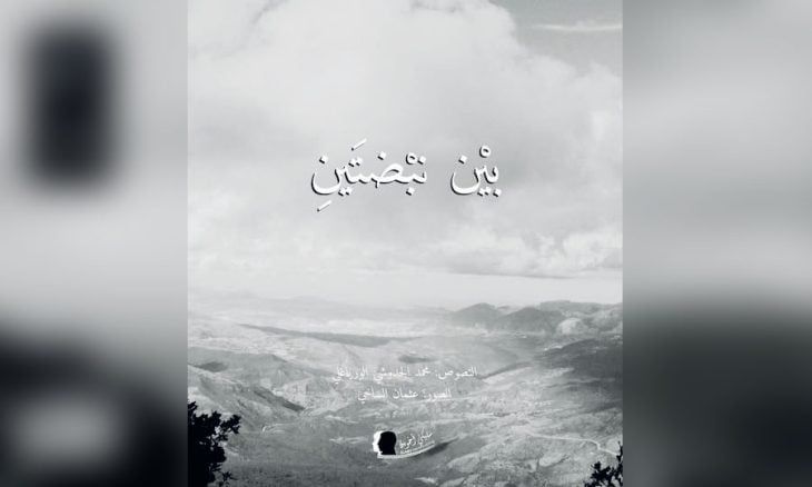 في ديوان «بين نبضتين»… الشعر والصورة واحتمالات التأويل