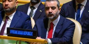 الشيباني: سوريا انتقلت من طرح الرؤى إلى ترجمتها في الواقع- (تدوينة)
