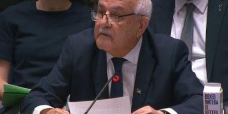 السفير الفلسطيني لدى الأمم المتحدة: لن ننسى 22 ألف طفل قتلتهم حرب الإبادة الإسرائيلية