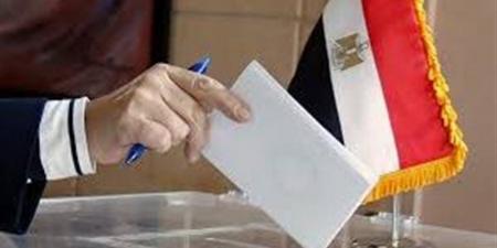 نواب وسياسيون يطالبون بسرعة إصدار قانون المحليات