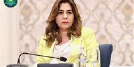 وزارة التنمية المحلية تلزم سفينة بوقف شحن مواد كيماوية تسببت فى روائح غازية في ميناء الدخيلة بالإسكندرية