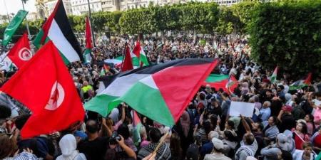 حراك تونسي يستنكر تناقض السلطة بين دعم فلسطين واعتقال مؤيديها