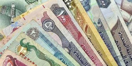 سعر الدرهم الإماراتي أمام الجنيه في البنوك المصرية اليوم السبت