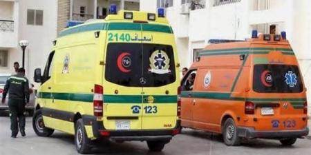هلاوس «البودر» تقود عاطلا لقتل والدته وهي نائمة في إمبابة