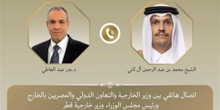 وزير الخارجية يشدد على حرية الملاحة بالبحر الأحمر وباب المندب ويرفض استخدام الممرات للضغط