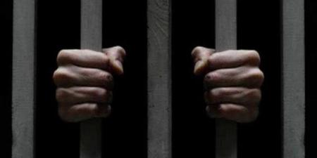 حبس شخص بتهمة الاتجار في القطع الأثرية بكرداسة