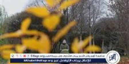 الطقس غدًا الاثنين 5 أكتوبر 2026.. انخفاض في الحرارة وأمطار متفاوتة الشدة والعظمى بالقاهرة 29 درجة