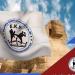 هروب لاعب من بعثة منتخب مصر للكيك بوكسينج في إيطاليا