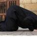 هل يجوز الإشارة أثناء الصلاة لإسكات الأطفال؟ أمين الفتوى يجيب (فيديو)