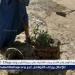 محافظ أسيوط: تشجير منطقة كوبري محمود علام بالبداري وتطوير مدخل قرية خارفة بصنبو بديروط