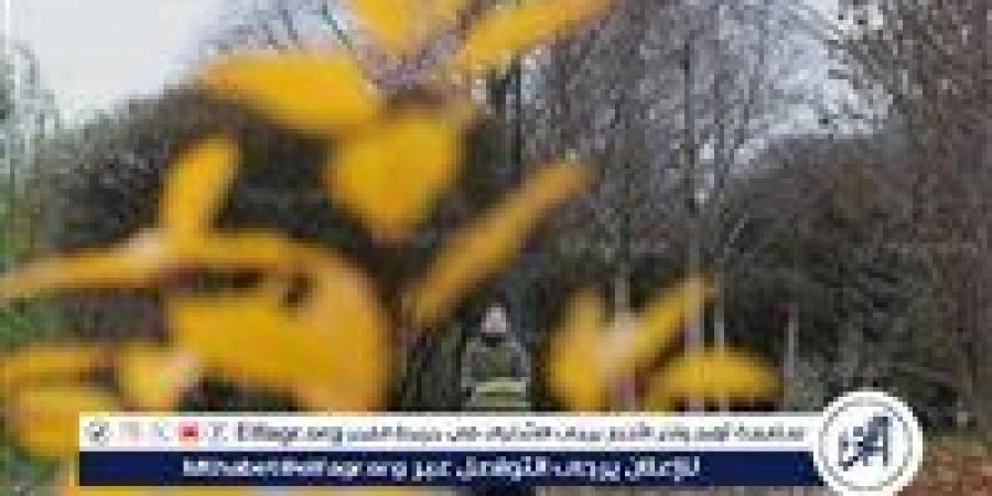 الأرصاد تحذر من السحب الرعدية والأمطار اليوم.. الضبعة والعلمين وسيدي عبد الرحمن أبرز المناطق