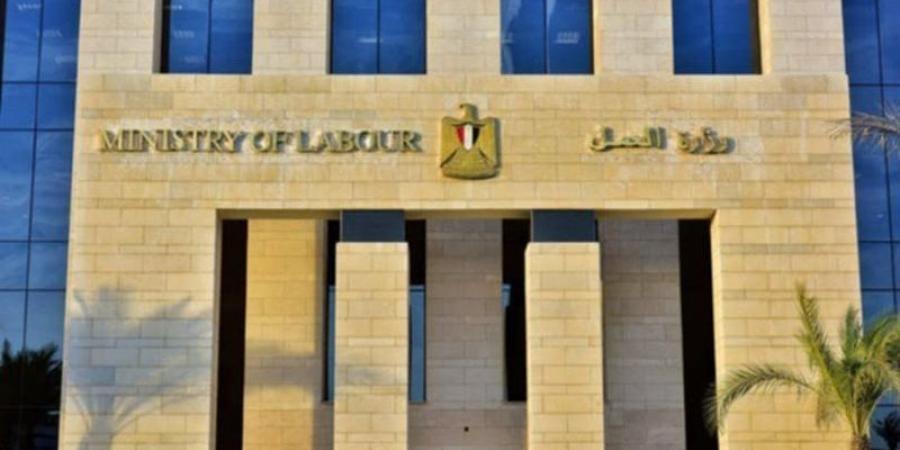 براتب 9 آلاف جنيه ومكأفة سنوية ضخمة، الإعلان عن 200 فرصة عمل بالواحات البحرية