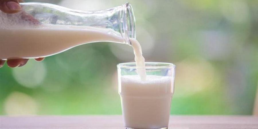 اللبن أخطرها، تحذيرات من انتقال البروسيلا والسالمونيلا والميكروب العنقودي الذهبي للإنسان