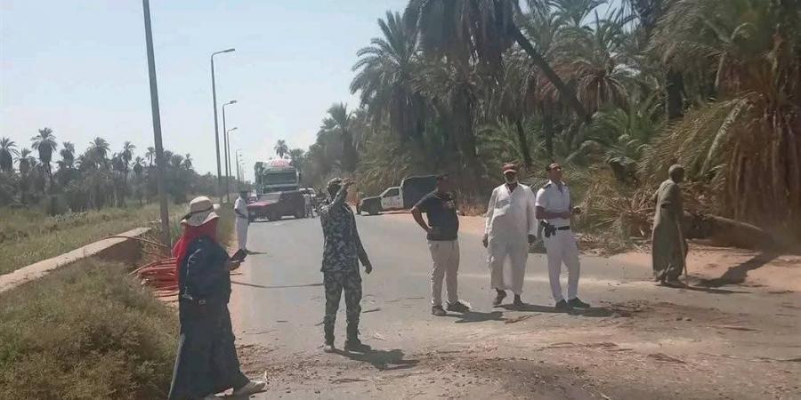 سقوط نخلة على الطريق الزراعي بأسوان وتعطل الحركة المرورية (صور)