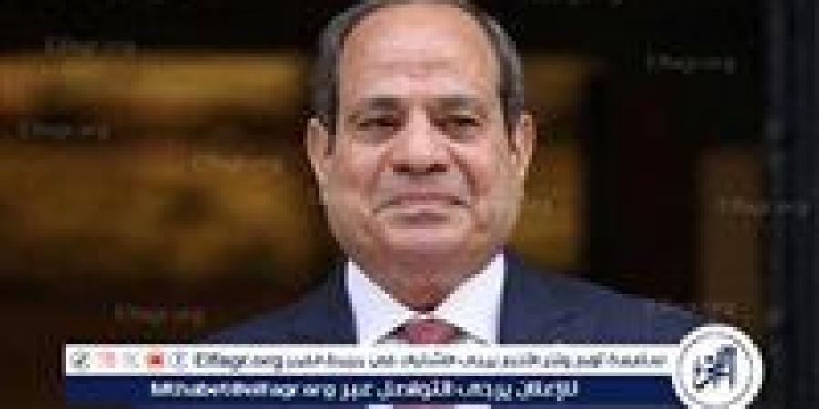 عاجل- السيسي يؤكد أهمية التعاون مع أورنج لتأهيل الشباب لسوق العمل المستقبلي.. 200 ألف منحة تدريبية