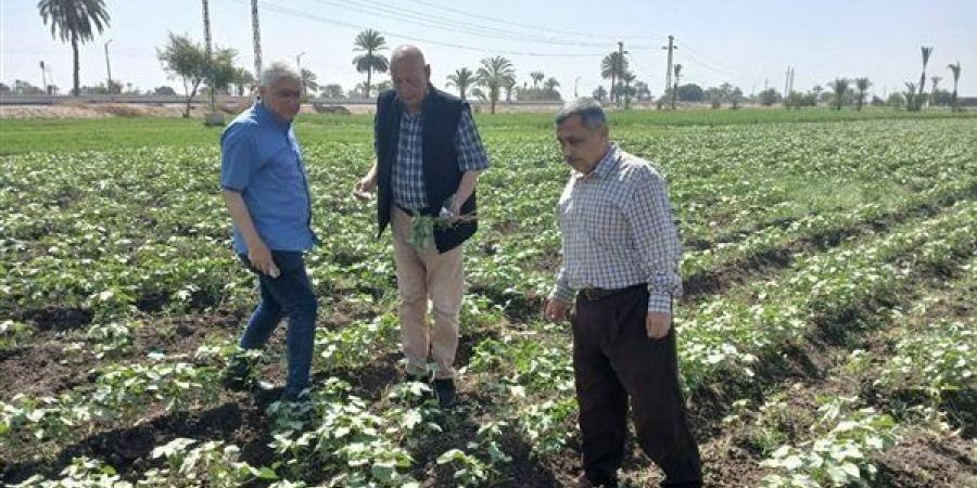 محمود عطا لـ «فيتو»: الإرشاد الزراعي مات والجمعيات الزراعية خرجت من الخدمة