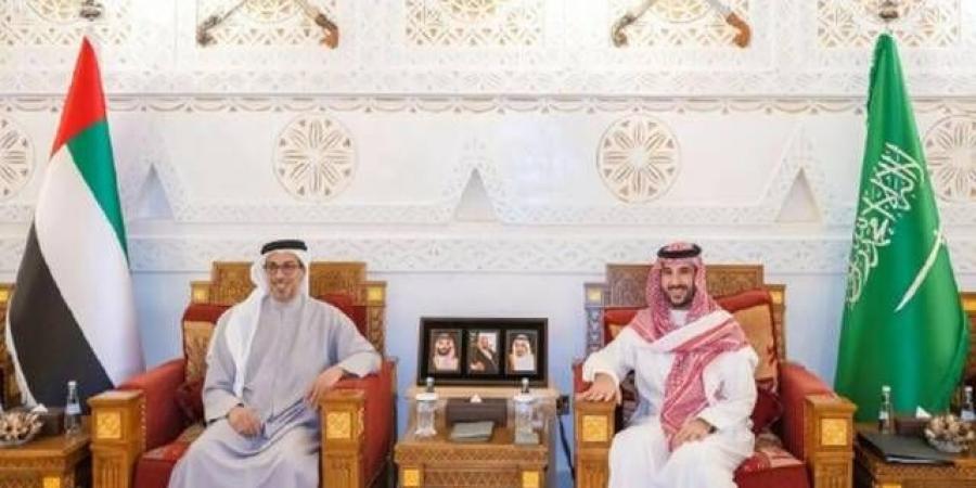 وزير الدفاع السعودي يلتقي منصور بن زايد في الرياض ويبحثان التعاون المشترك