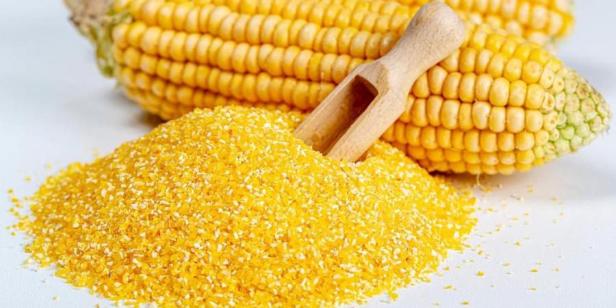 انخفاض الردة والصويا، أسعار الأعلاف والحبوب اليوم في الأسواق
