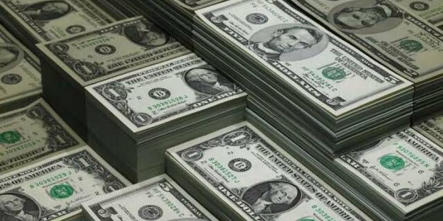 الدولار يصل لقمة 17 شهر مقابل اليورو وسط بيع للسندات