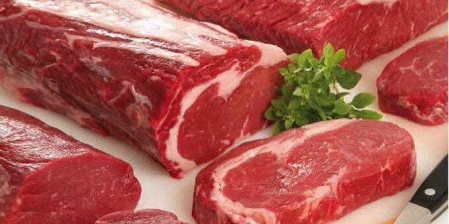 ارتفاع الضاني وانخفاض الكندوز، أسعار اللحوم اليوم في الأسواق