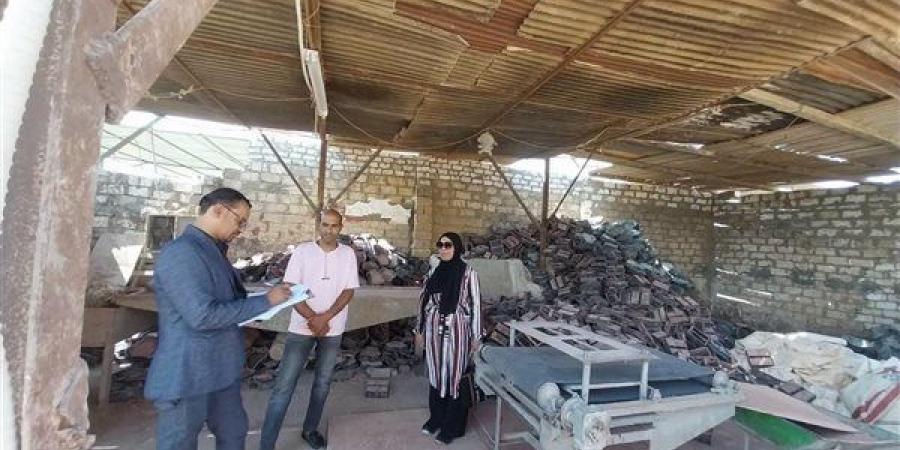 "العمل" تنفذ حملات تفتيشية على منشآت المنطقة الصناعية بالوادي الجديد