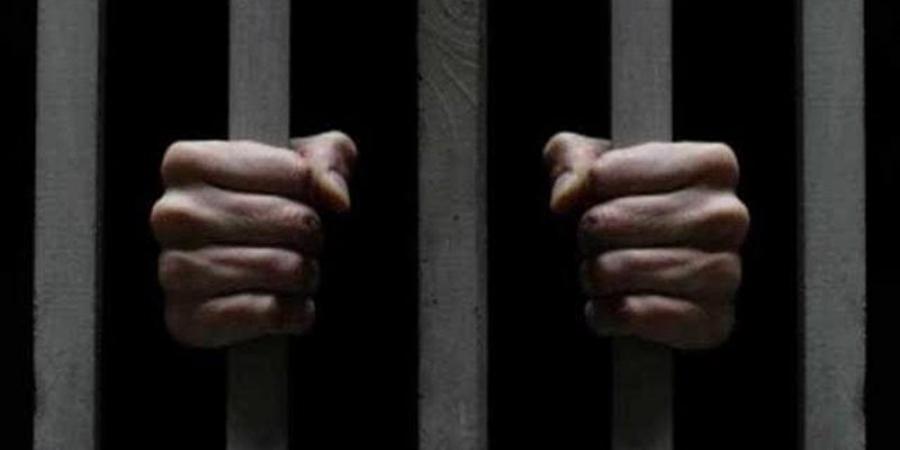 حبس شخص بتهمة الاتجار في القطع الأثرية بكرداسة