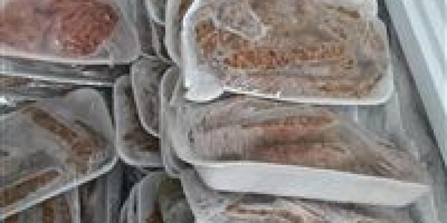 "الزراعة": ضبط نحو 175 طنًا من اللحوم ومنتجاتها المخالفة خلال سبتمبر.. وتحرير 826 محضرًا بالمحافظات
