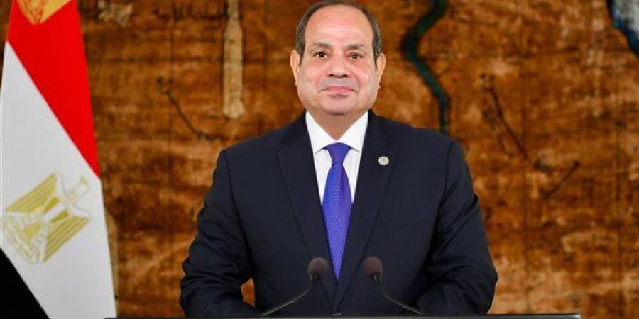 السيسي: مصر تؤمن بأن نهضة أفريقيا واستقرارها حق مشروع ينبغي التمسك به