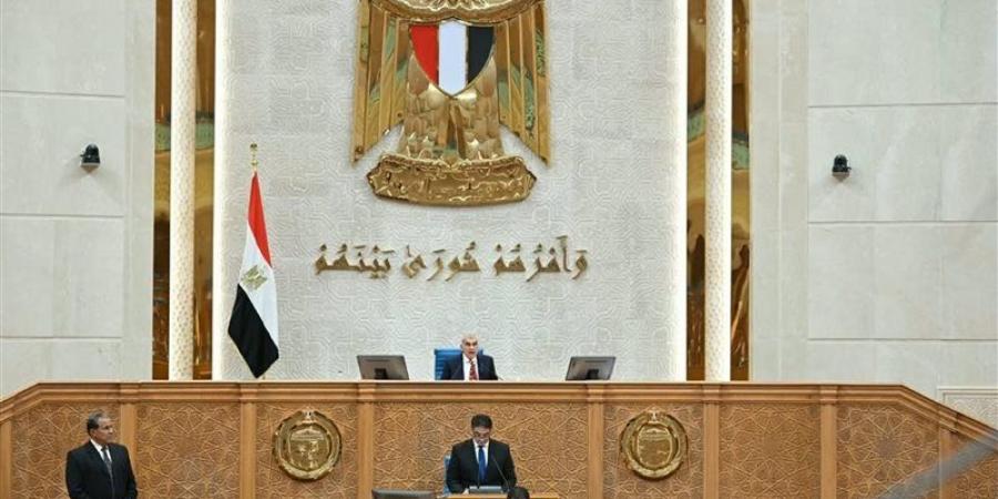بعد فتح باب تعديل رغبات الانضمام، موعد إعادة تشكيل اللجان النوعية بمجلس الشيوخ