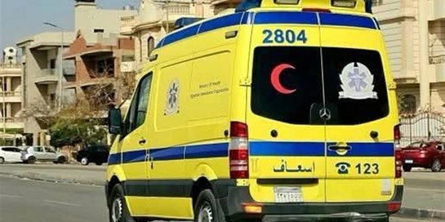 إصابة 3 أشخاص إثر انقلاب تروسيكل في قرية المنشية بقنا