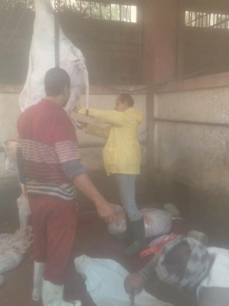 ذبح 26 رأس ماشية وسط حملات بيطرية مكثفة على مجازر صدفا بأسيوط
