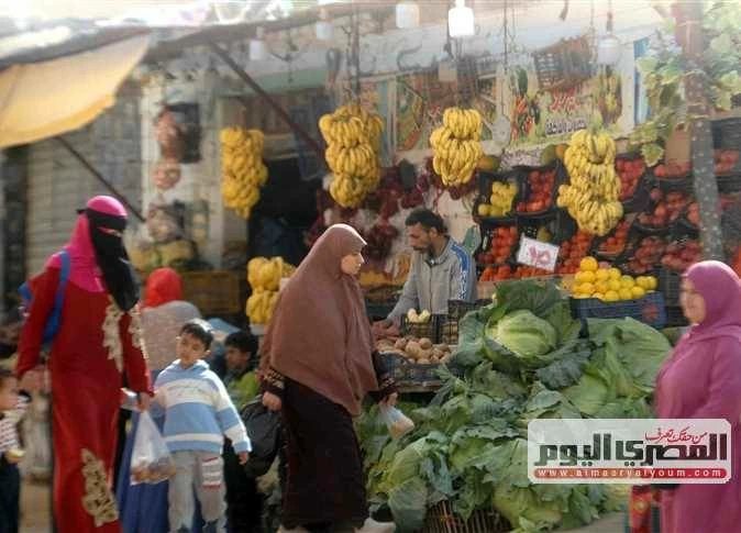 «الطماطم بـ 10 جنيهات».. أسعار الخضروات والفاكهة في أسواق المنيا اليوم الأربعاء