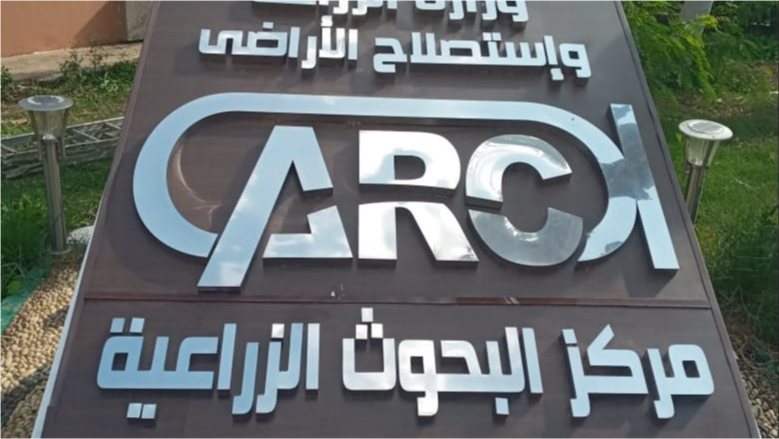 "البحوث الزراعية" ينظم ورشة عمل لمناقشة نتائج البرامج البحثية للموسم الزراعي الشتوي السابق