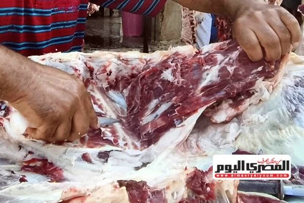أسعار لحوم الماعز والضانى البرقى فى مطروح اليوم الأربعاء 7 أكتوبر 2026