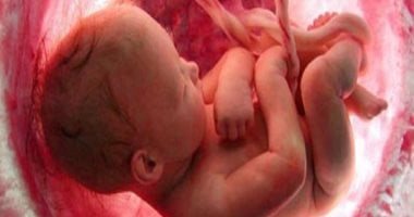 علماء يكشفون دور المشيمة فى توجيه الخلايا المناعية لنمو الجنين