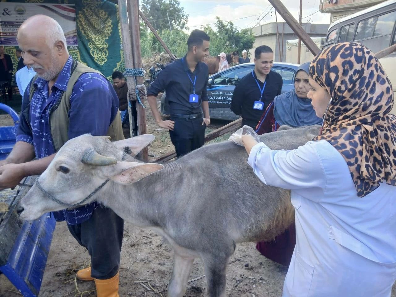 تحصين وعلاج 8194 رأس ماشية في حملة بيطرية بالإسكندرية