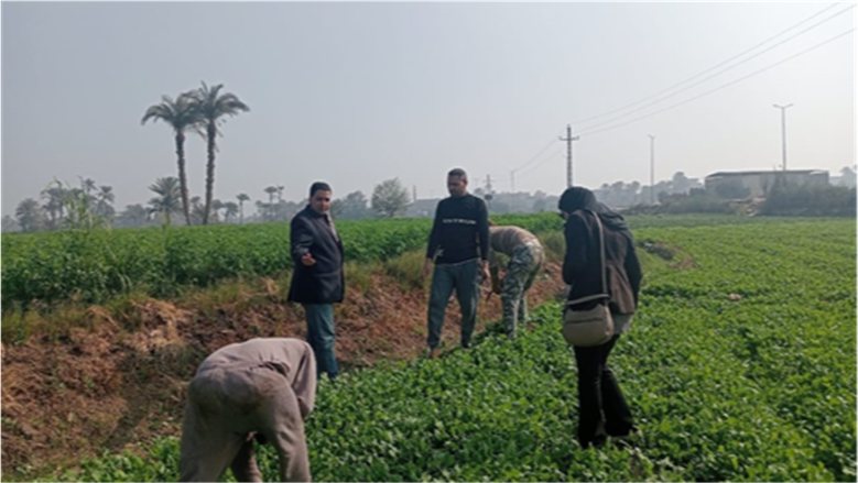 مركز تغير المناخ يحذر المزارعين من تقلبات الطقس.. توصيات مهمة لحماية المحاصيل