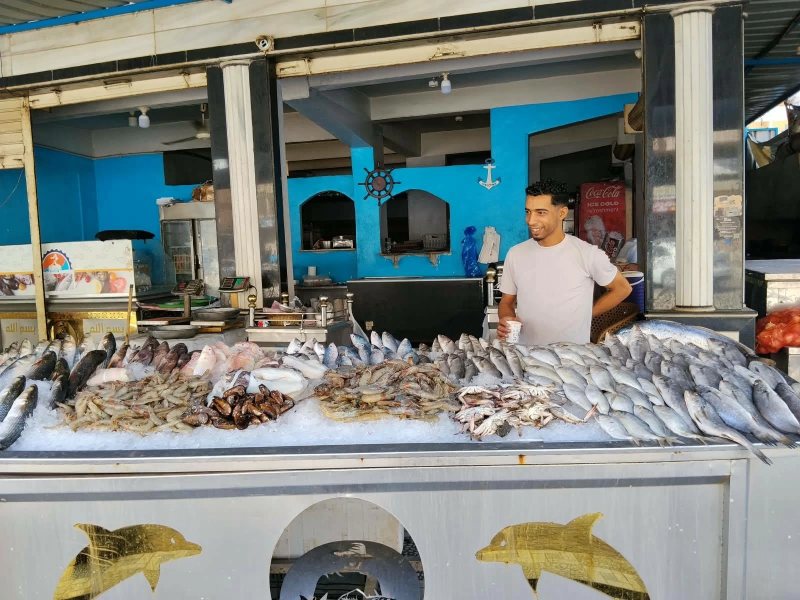 الكابوريا بـ230.. أسعار السمك والمأكولات البحرية بأسواق الإسكندرية اليوم الأربعاء 21 أكتوبر 2026