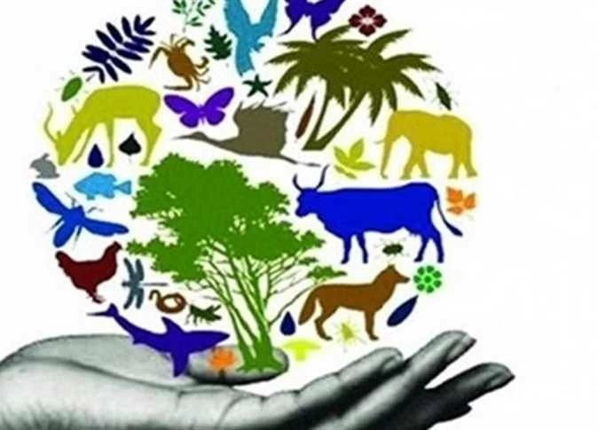«حماية التنوع البيولوجي الهش» تتصدر المشهد بمؤتمر الأمم المتحدة للتنوع البيولوجي في أرمينيا