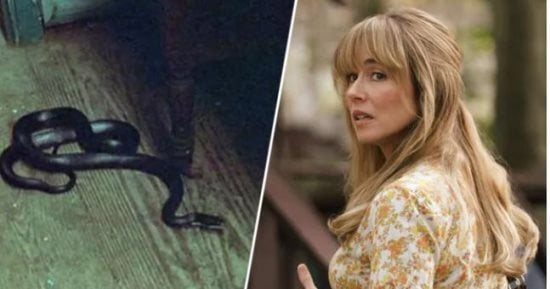 Crystal Lake يصحح واقعة قتل الثعبان فى Friday the 13th قبل 45 عاما