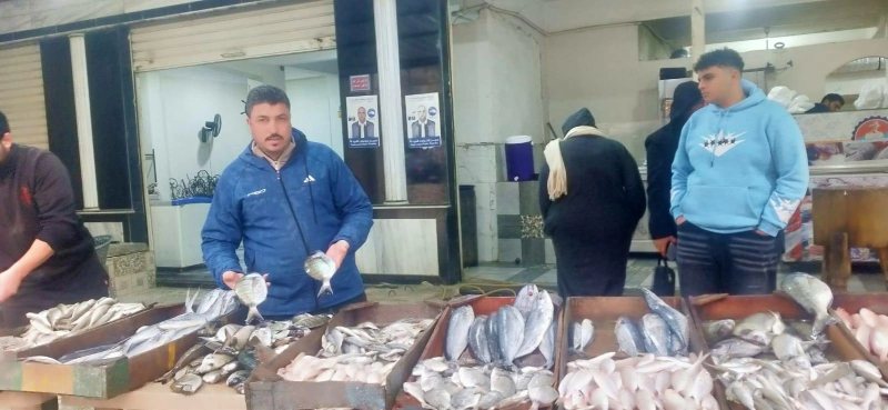 أسعار السمك البلطي والبوري والجمبري اليوم في أسواق مطروح