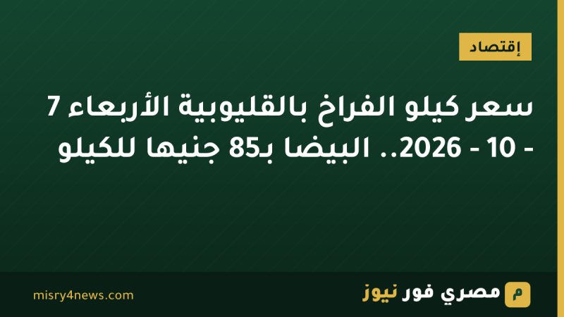 سعر كيلو الفراخ بالقليوبية الأربعاء 7 - 10 - 2026.. البيضا بـ85 جنيها للكيلو