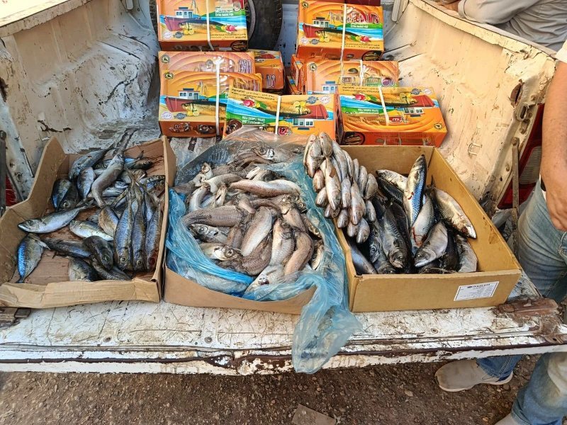 ضبط 190 كيلو أغذية فاسدة ومنتهية الصلاحية داخل مطعم ومحال بالفيوم