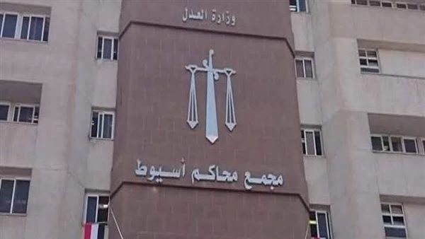 "قتلا جارهما وأصابا شقيقه".. السجن 15 عامًا لطالب وحبس شقيقه سنة في أسيوط